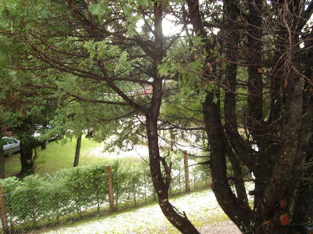 Tinsel'S House Villa San Carlos de Bariloche Eksteriør bilde